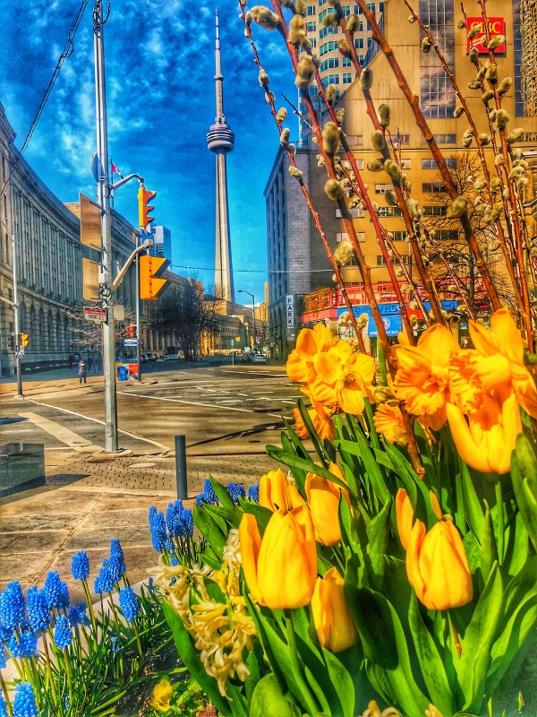Front Street - Toronto Digital Download